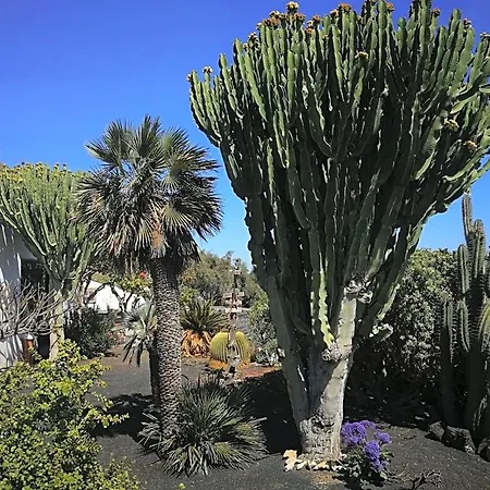 Casa Angel Mácher