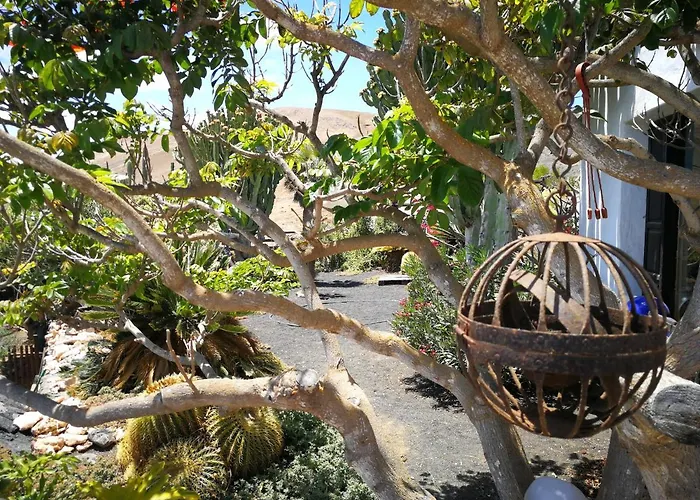 Orman Evi Casa Angel